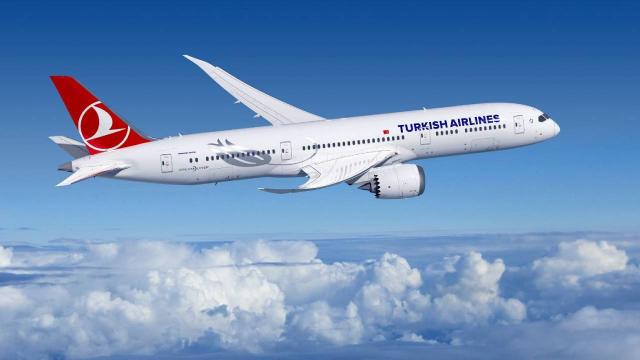 THY’den seferleri durdurma kararı