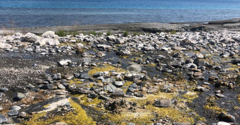 Salda’da ‘salyalaşma’ ve ‘kararma’ uyarısı
