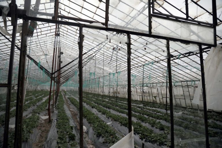 Antalya’da metrekareye 173 kilo yağmur