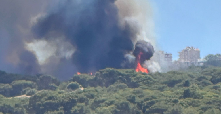ANTALYA LARA‘DA ORMAN YANGINI ÇIKTI