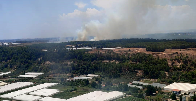 ANTALYA’DA ORMAN YANGINI