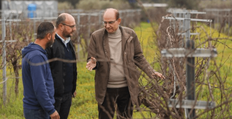 BUCA, RAZAKI ÜZÜMÜYLE AGRO TURİZMİ HEDEFLİYOR