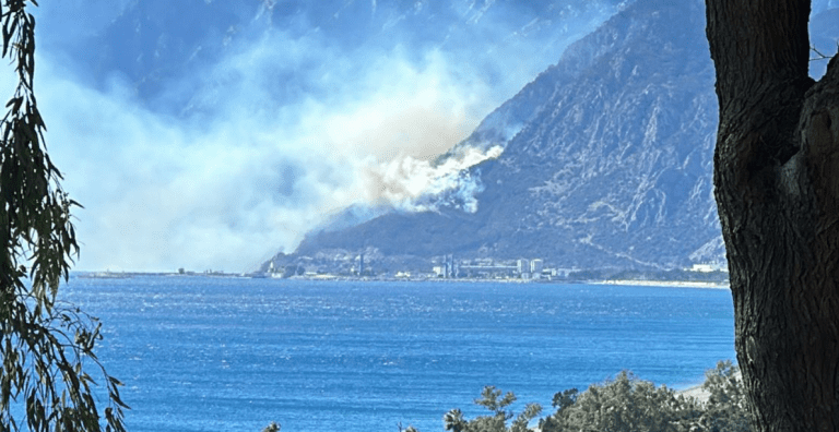 ANTALYA’DA ORMAN YANGINI