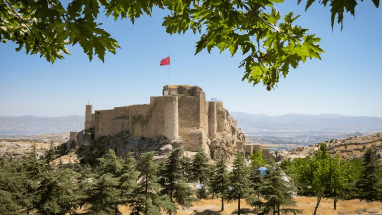 TARİHİ KALEDE 2025 YILI ARKEOLOJİK KAZI DÖNEMİ BAŞLADI