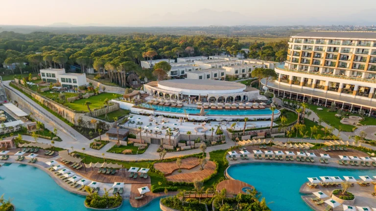 ETHNO BELEK 1 YAŞINDA