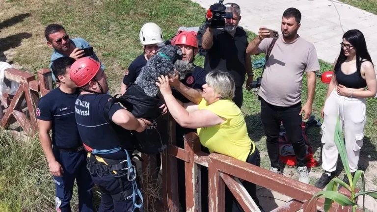 ANTALYA’DA FALEZLERDEN DÜŞEN KÖPEK İTFAİYE TARAFINDAN KURTARILDI