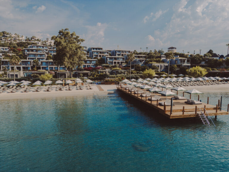 SAHNEDE KARSU, MUTFAKTA FALSER: THE NORM LE CHIC AÇILDI