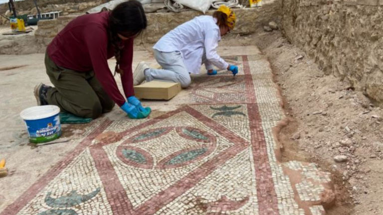 POMPEIOPOLIS BAZİLİKASI’NDA 105 METREKARELİK MOZAİK VE EROS BAŞI